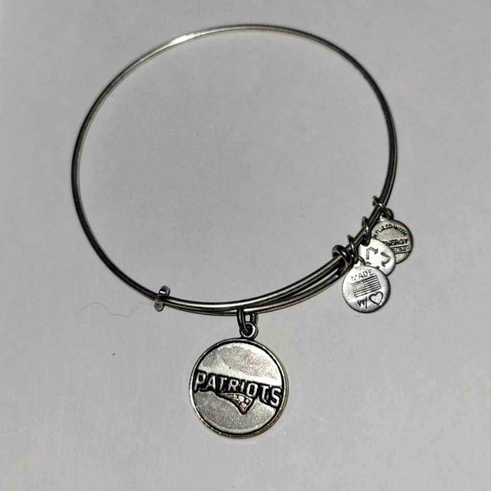 🏈 NE patriots Alex and ani